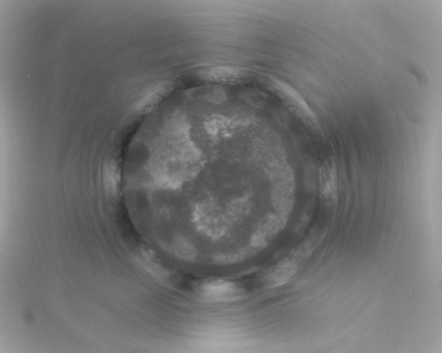 X0000115670669200911251731