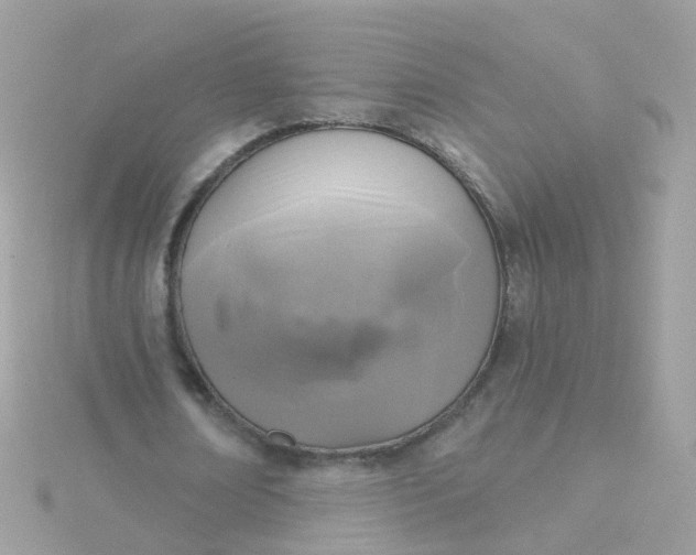 X0000115670674200911251730