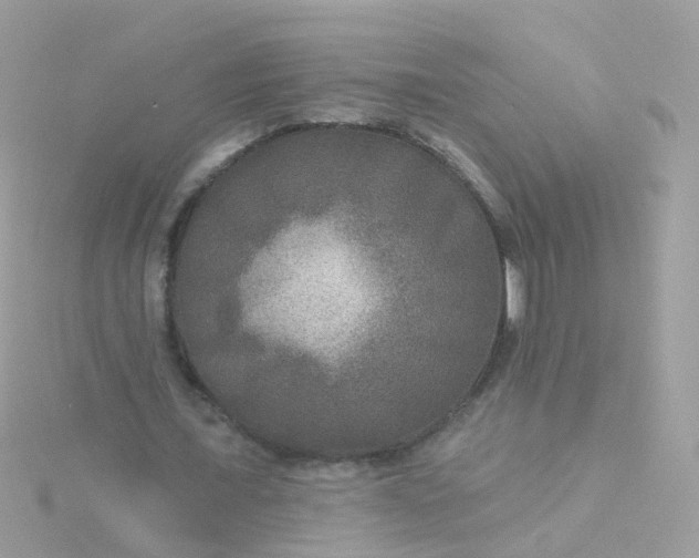 X0000115670675200911251730
