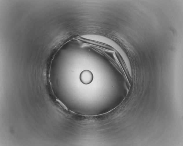 X0000115670696200911251730