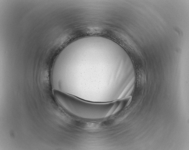 X0000115670700200911251730