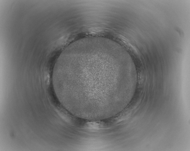 X0000115670703200911251730