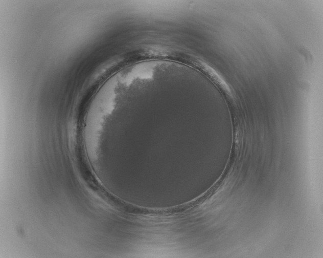 X0000115670722200911251729