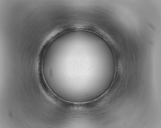 X0000115670730200911251729