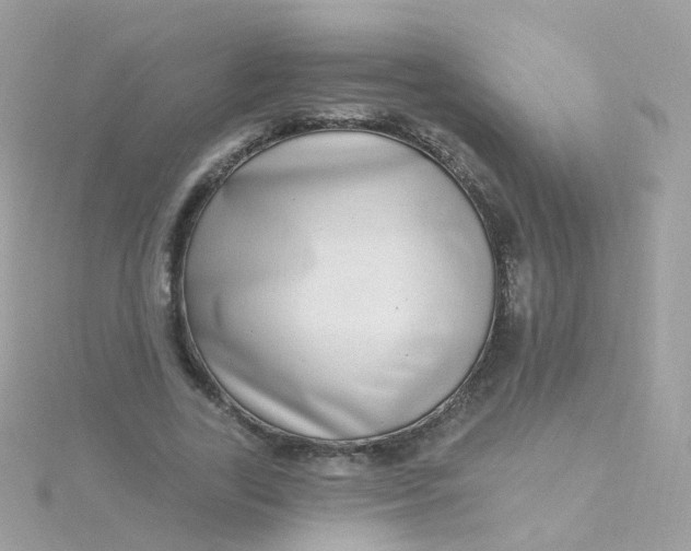 X0000115670731200911251729