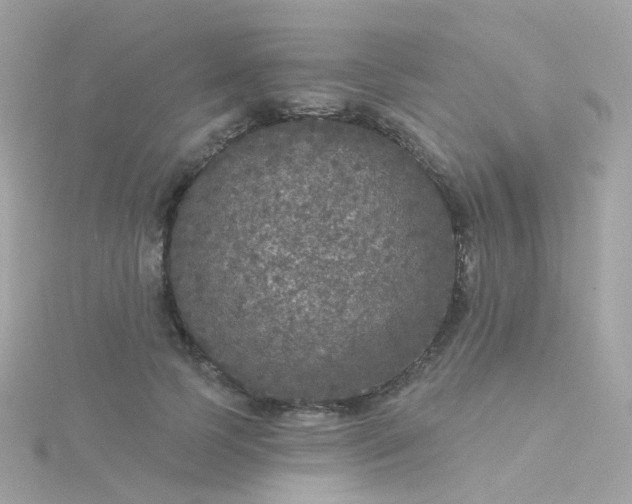 X0000115670745200911251729