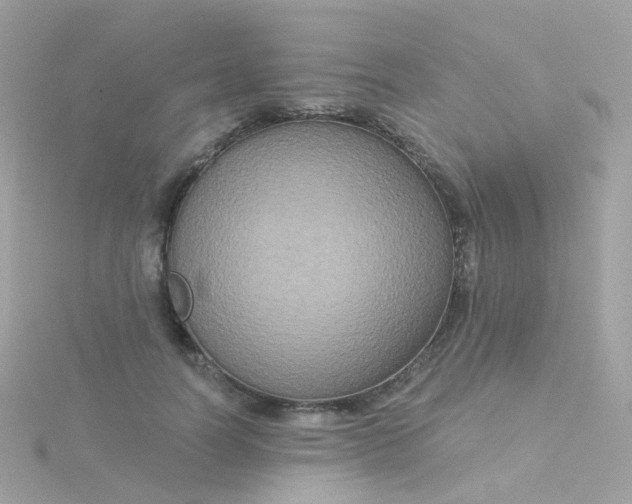 X0000115670746200911251729