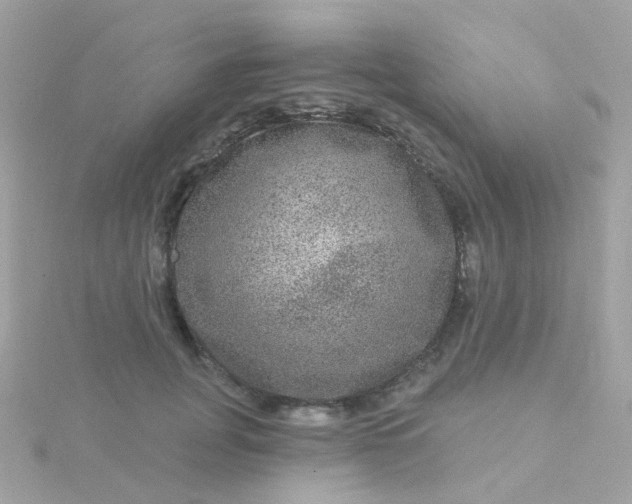 X0000115670751200911251729
