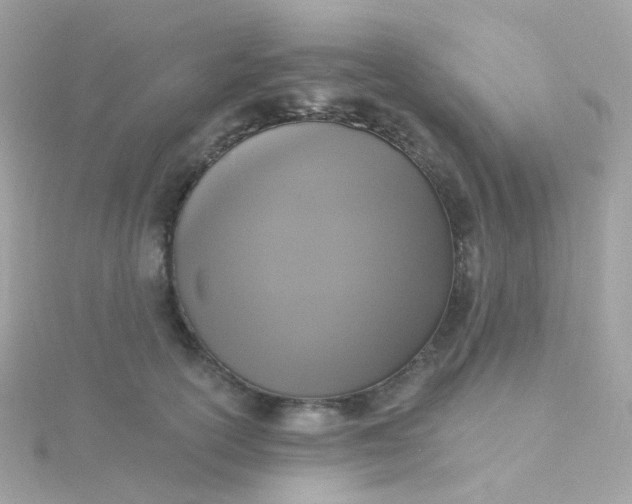 X0000115670754200911251730