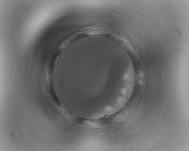 X0000115670763200911251730