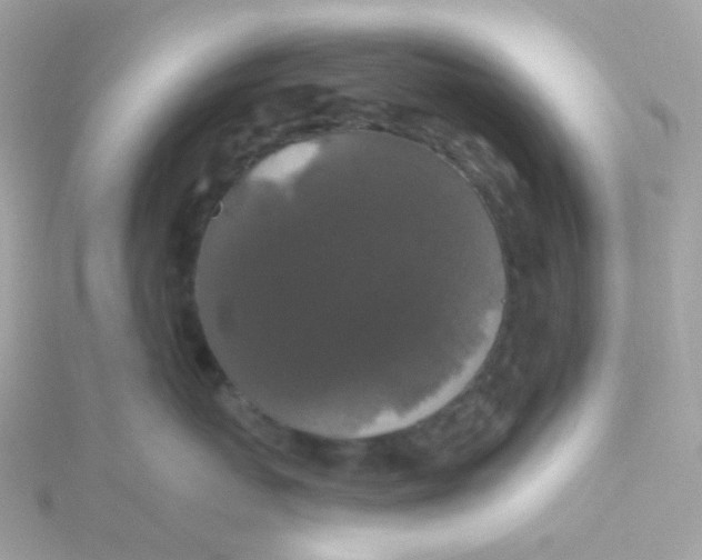 X0000115670767200911251730