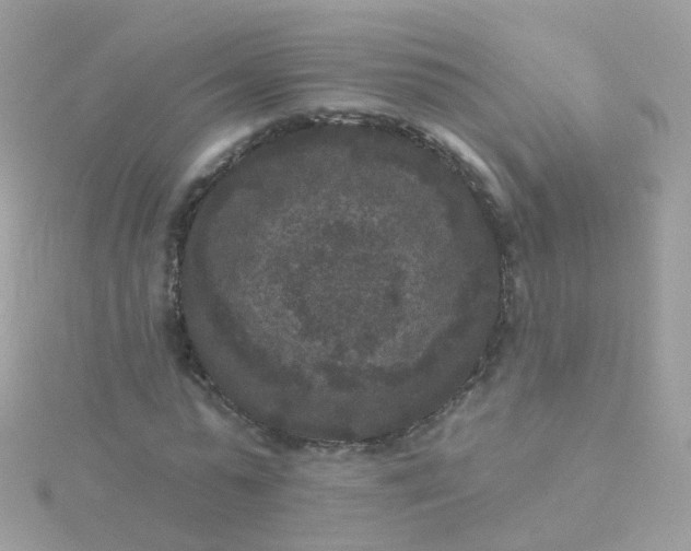 X0000115670775200911251729
