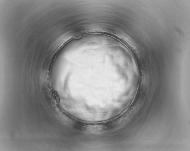 X0000115670793200911251729