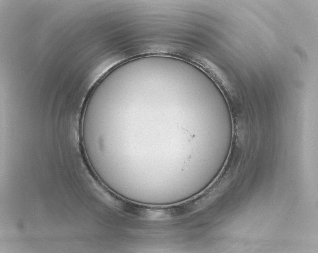 X0000115670794200911251729