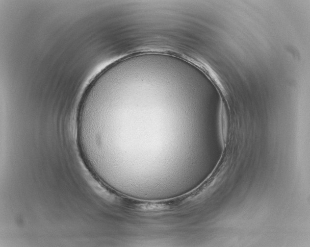 X0000115670795200911251729