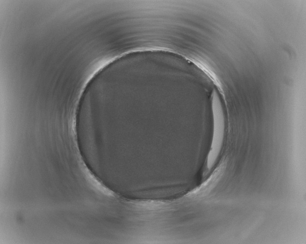 X0000115670797200911251729