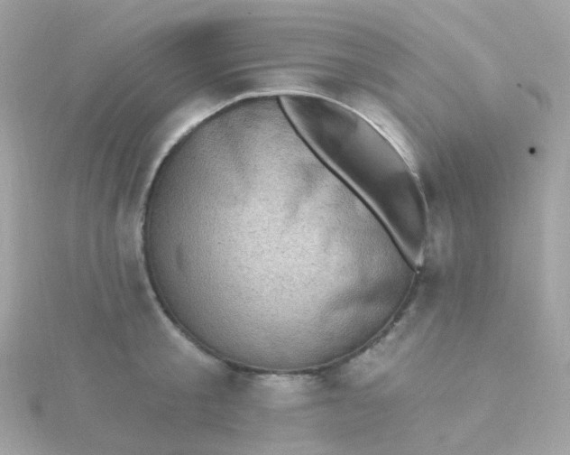 X0000115670805200911251729