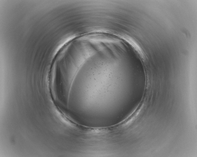 X0000115670806200911251729