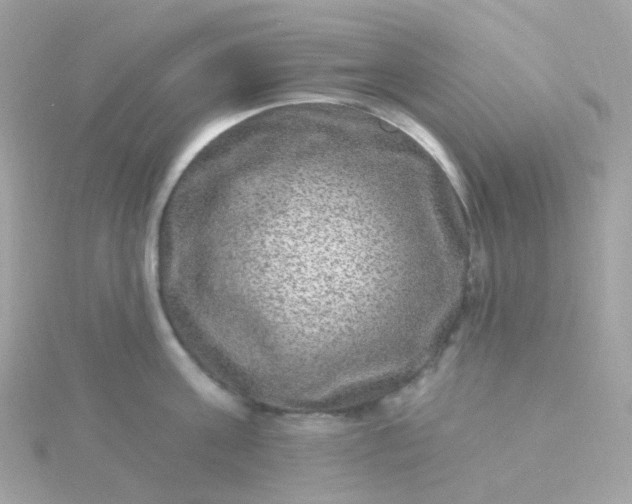 X0000115670811200911251729