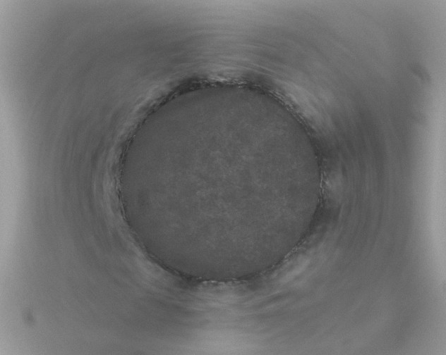 X0000115670817200911251728
