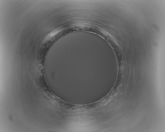 X0000115670822200911251728