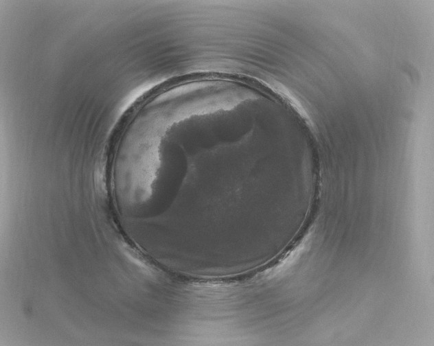X0000115670830200911251728