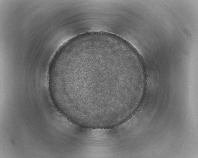 X0000115670832200911251728