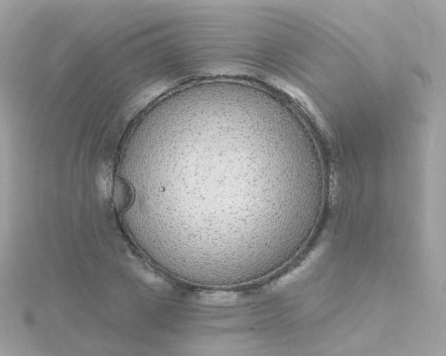 X0000115670833200911251728
