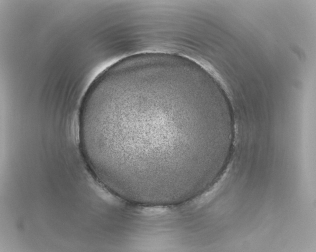 X0000115670838200911251728