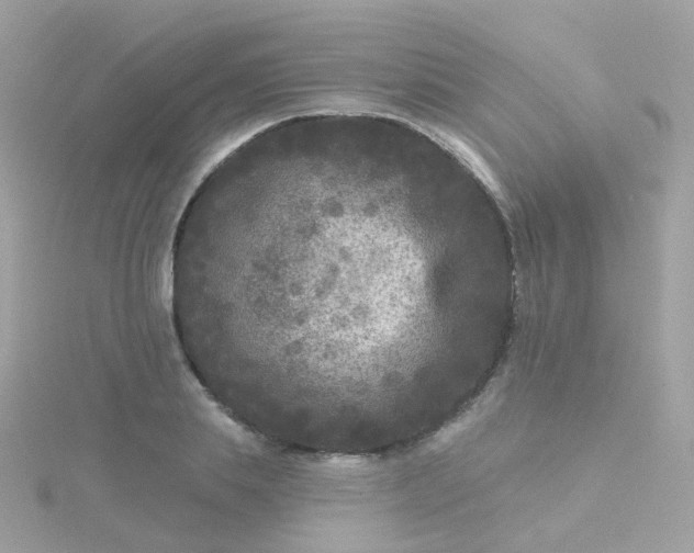 X0000115670839200911251728