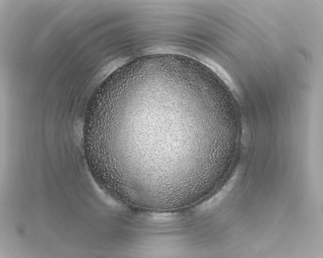 X0000115670849200911251728