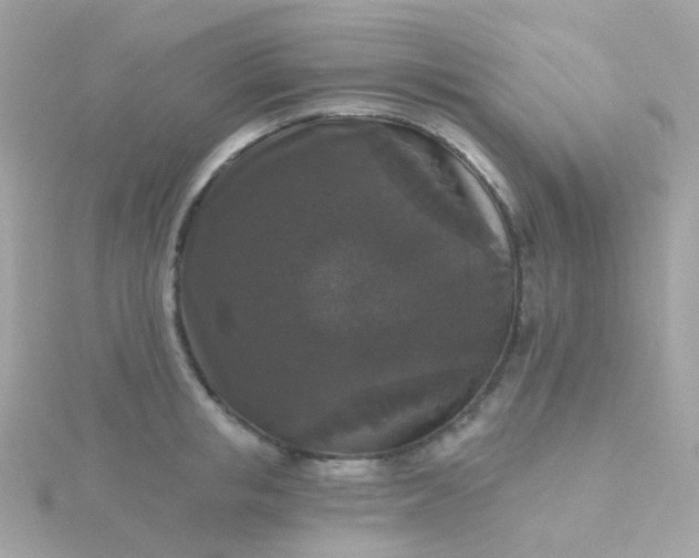 X0000115670853200911251728