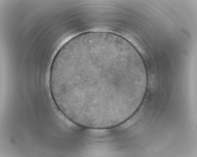 X0000115670856200911251728