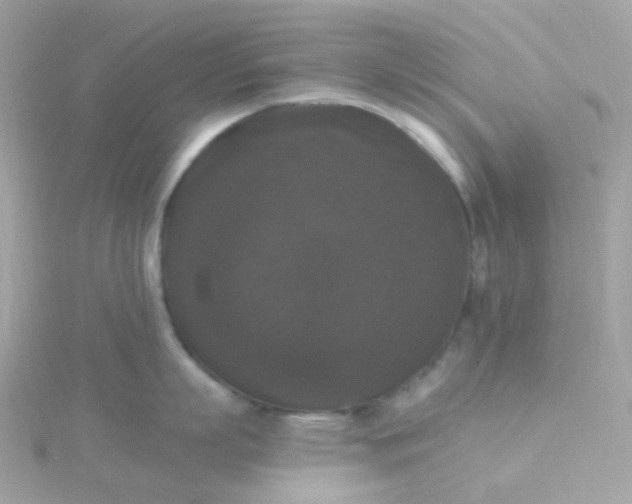 X0000115670863200911251728