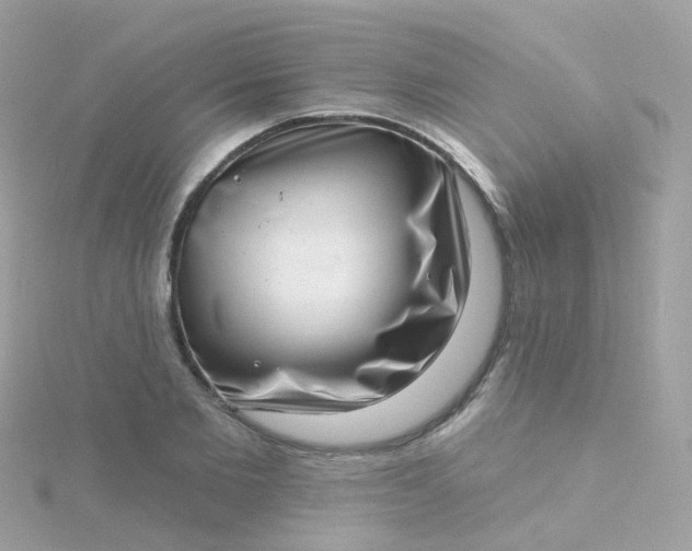 X0000115670885200911251728