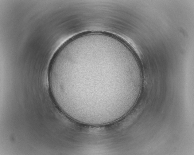 X0000115670887200911251728