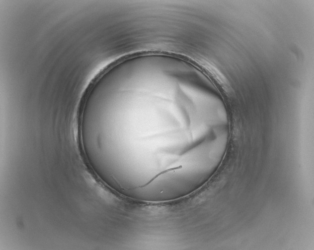 X0000115670888200911251728