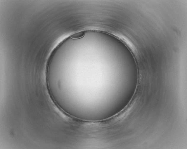X0000115670902200911251727