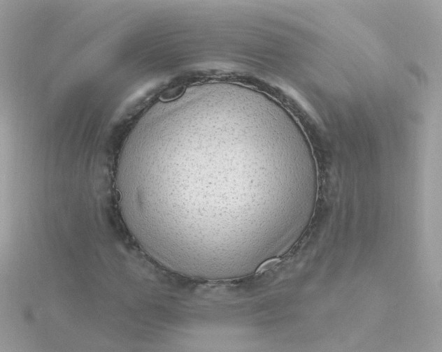 X0000115670967200911251727