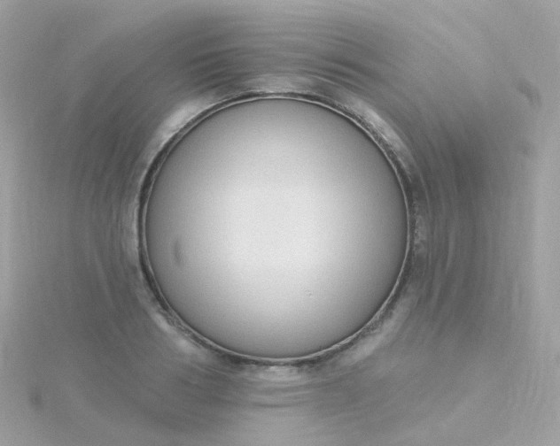 X0000115670986200911251726