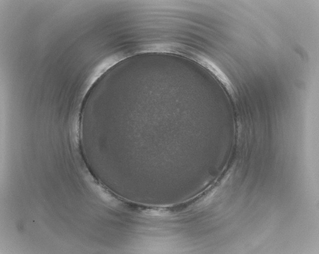 X0000115670994200911251726