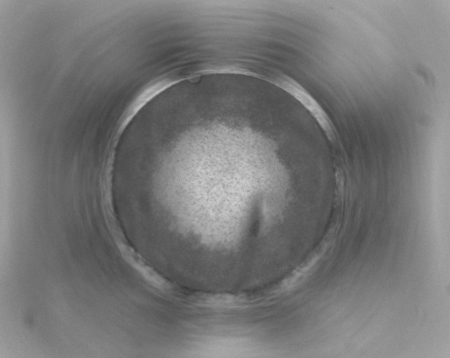 X0000115671002200911251726