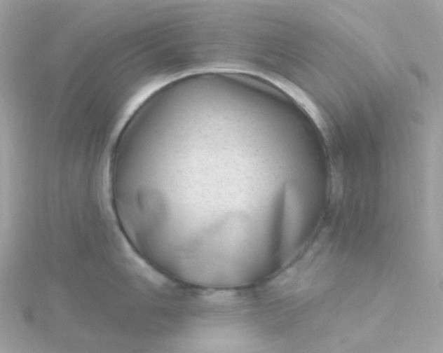 X0000115671006200911251726