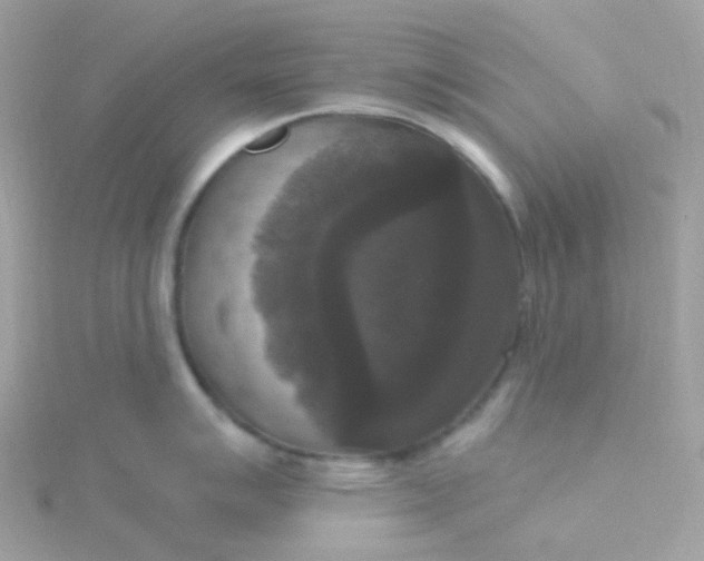 X0000115671007200911251726