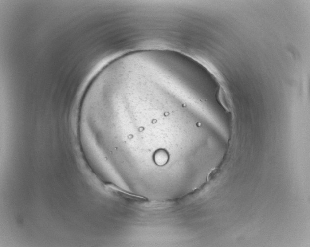 X0000115671008200911251726