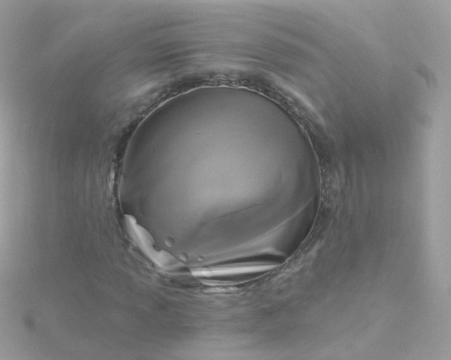 X0000115671013200911251725