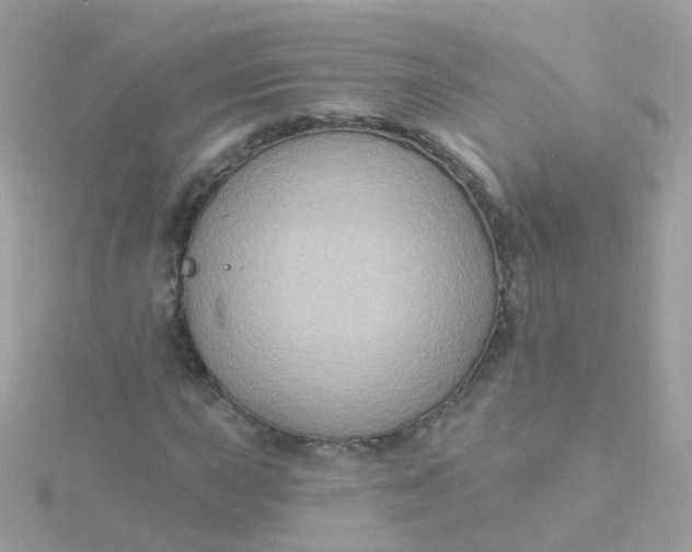 X0000115671015200911251726