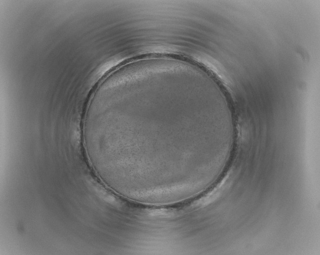 X0000115671025200911251726