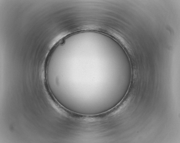 X0000115671034200911251726