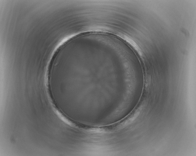 X0000115671037200911251726